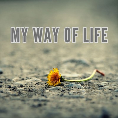 アルバム/My way of life/2strings