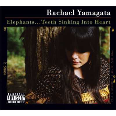 アルバム/Elephants...Teeth Sinking Into Heart (Int'nl Japan)/レイチェル・ヤマガタ