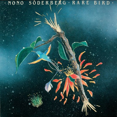 New Samba/Nono Soderberg