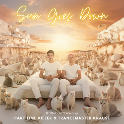 Part Time Killer／Trancemaster Krause
