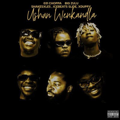 ushuni we nkandla (feat. Ice Beats Slide, Shakes & Les, Xduppy)/031Choppa & Big Zulu