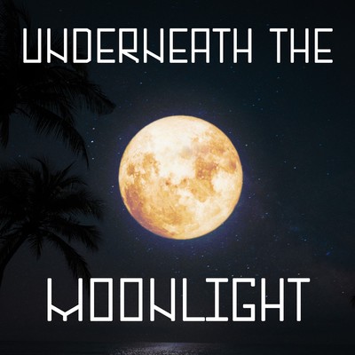 Underneath The Moonlight/Various Artists