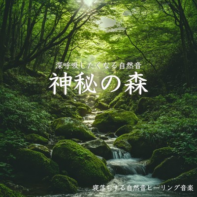 アルバム/神秘の森 深呼吸したくなる自然音｜Deep Relaxing Sleep Music/寝落ちする自然音ヒーリング音楽