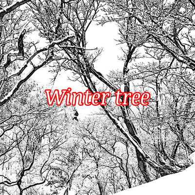 Winter tree/Spotlight
