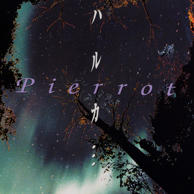 シングル/ハルカ…/PIERROT
