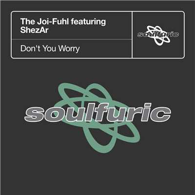 Don't You Worry (feat. ShezAr)/The Joi-Fuhl