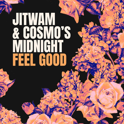 Jitwam & Cosmo's Midnight