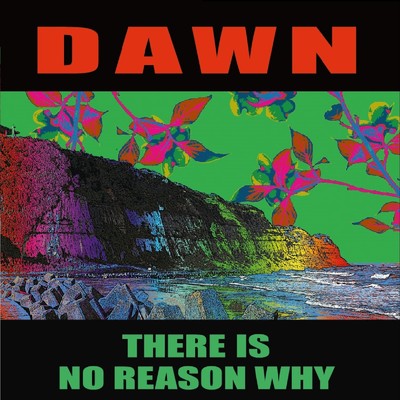 アルバム/There Is No Reason Why/DAWN