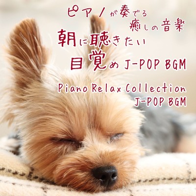 アルバム/ピアノが奏でる 癒しの音楽 朝に聴きたい目覚め J-POP BGM Piano Relax Collection J-POP BGM/中村理恵