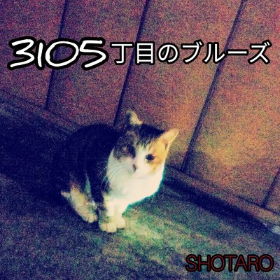 シングル/3105丁目のブルーズ/SHOTARO