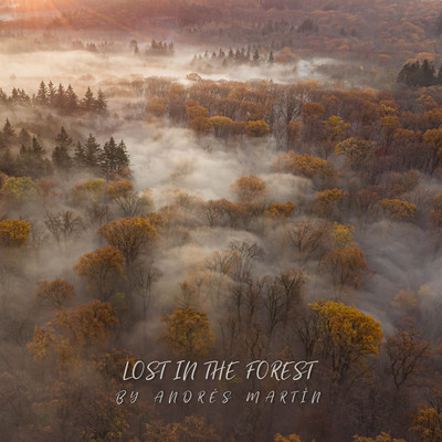 シングル/Lost In The Forest/Andres Martin