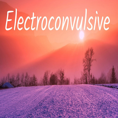 アルバム/Electroconvulsive/Vermis ego