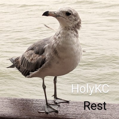 アルバム/Rest/HolyKC