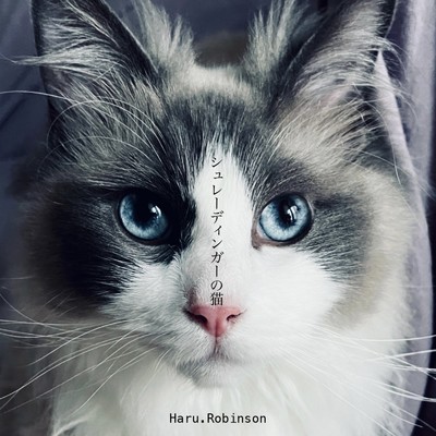 シュレーディンガーの猫/Haru.Robinson