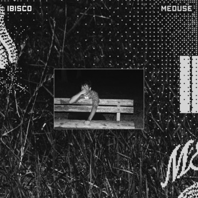 Meduse/Ibisco