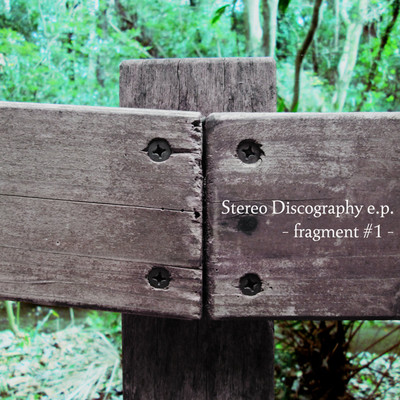Stereo Discography e.p. -fragment #1-/Bibina Design Fitzroy