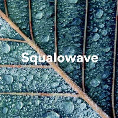 The AGE/Squalowave