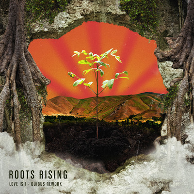 Love is I (Quibus Rework)/Roots Rising