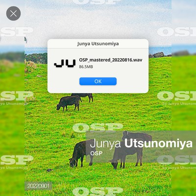 OSP/Junya Utsunomiya
