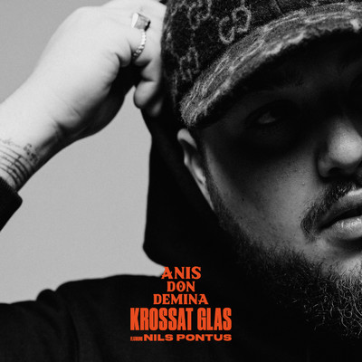 アルバム/Krossat glas (feat. Nils Pontus)/Anis Don Demina