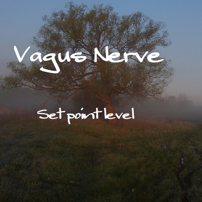 Vagus Nerve/Set point level