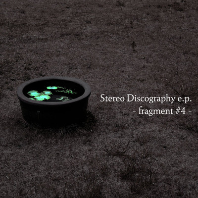 Stereo Discography e.p. -fragment #4-/Bibina Design Fitzroy