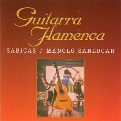 Guitarra Flamenca/Sabicas y Manolo Sanlucar