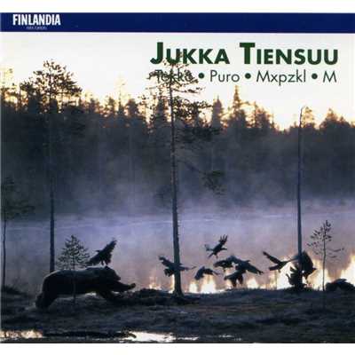 Puro for Clarinet and Orchestra/Kari Kriikku and Finnish Radio Symphony Orchestra