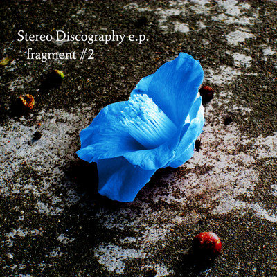 Stereo Discography e.p. -fragment #2-/Bibina Design Fitzroy