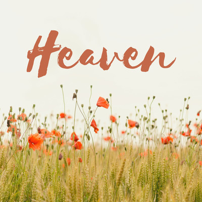 シングル/Heaven/LISA
