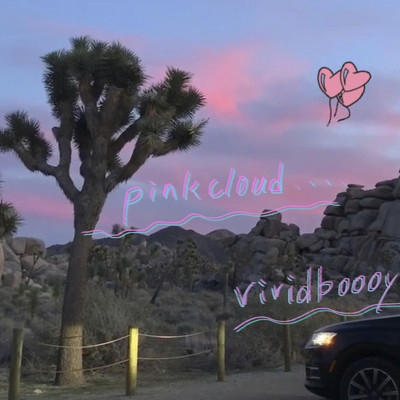 pinkcloud/vividboooy