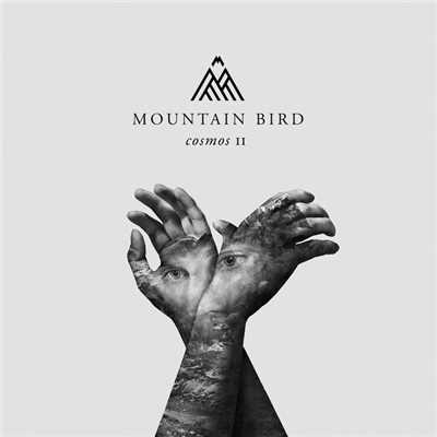 Cosmos/Mountain Bird