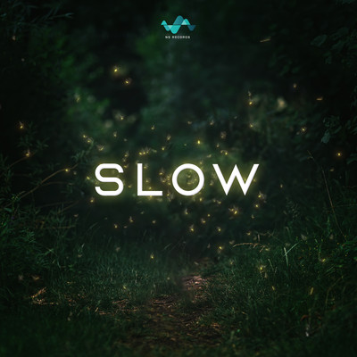 Slow/NS Records