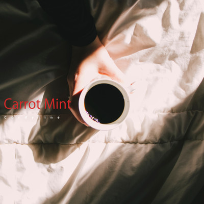 Carrot Mint/Cordyline