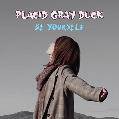Placid Gray Duck
