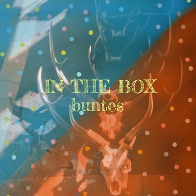 アルバム/IN THE BOX/buntes