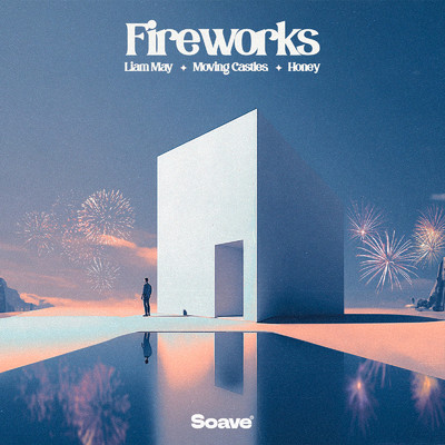 Fireworks/Liam May