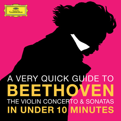 Beethoven: The Violin Concerto & Sonatas in under 10 minutes/Various Artists