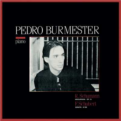 Schumann & Schubert: Piano/Pedro Burmester
