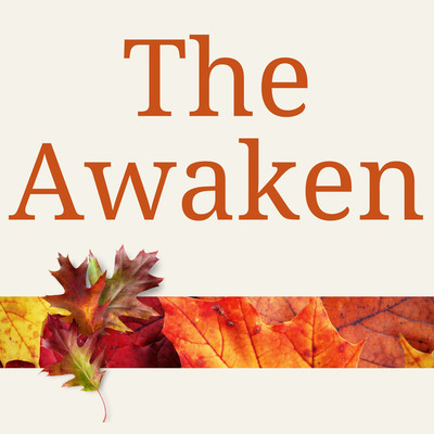 The Awaken/Cafe BGM channel