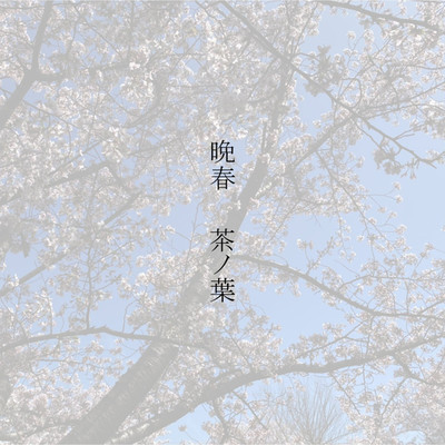 シングル/晩春/茶ノ葉