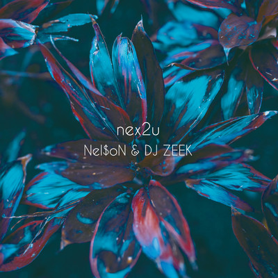 シングル/KGOK/DJ ZEEK & Nelson