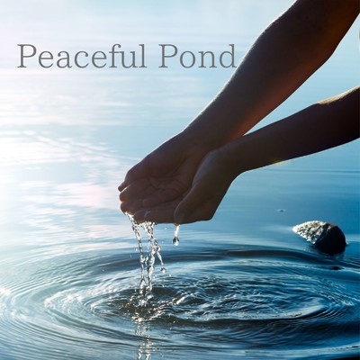 アルバム/Peaceful Pond/Four Seasons Heart