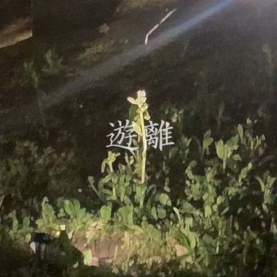 シングル/遊離/isotopolia