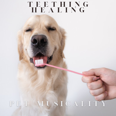 Teething Healing/Pet Musicality