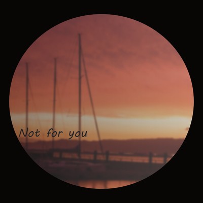 Not for you/DJ Ricky Painkillers