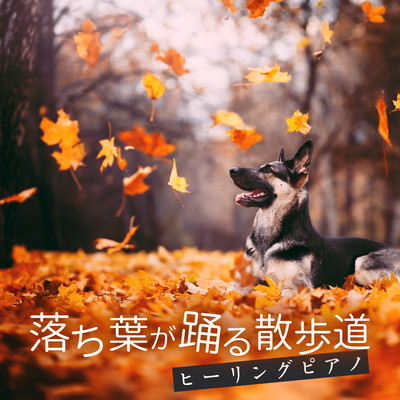 落ち葉が踊る散歩道 - ヒーリングピアノ/Relaxing BGM Project