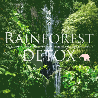 アルバム/Rainforest DETOX: Natural Rain Ambience for Relaxing, Meditation, Insomnia and Mental Health(レインフォレストデトックス)/VAGALLY VAKANS