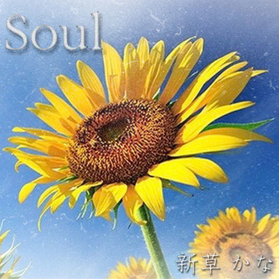 Soul/新草 かな