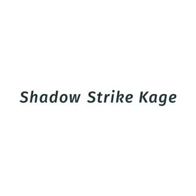 A Meeting Of People Who Want To Know/Shadow Strike Kage